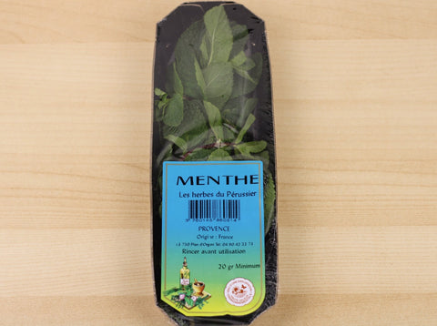 Menthe