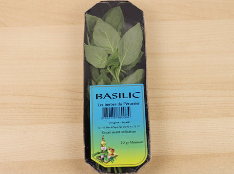 Basilic